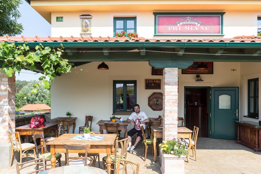 Boutique Hotel Pri Mlyne Lozorno Exterior photo